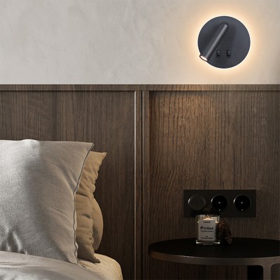 LED Wall Light WL100picture6
