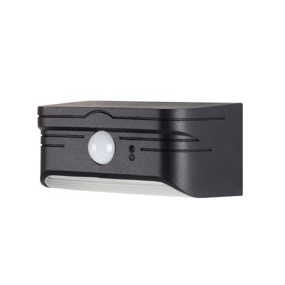 Solar Wall Light SWL250picture2