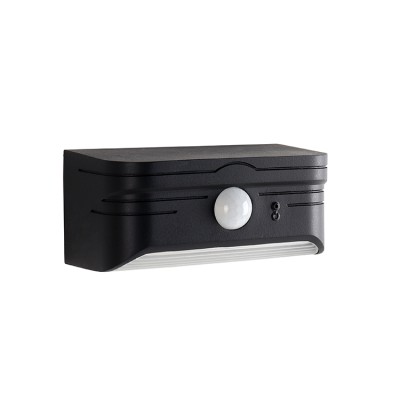 Solar Wall Light SWL250picture3