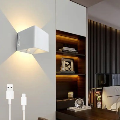 LED Wall Light WL690picture6