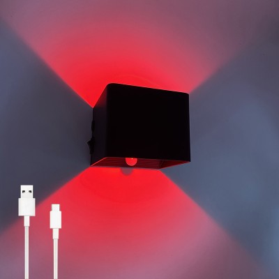LED Wall Light WL700picture4