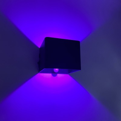 LED Wall Light WL700picture5