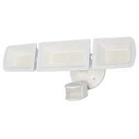LED Wall Light WL360