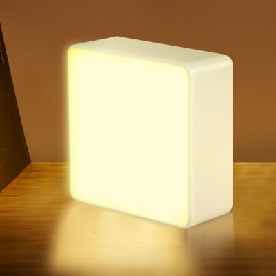 LED Camping Light CAM280picture2