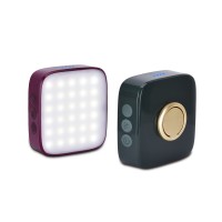 LED Camping Light CAM290