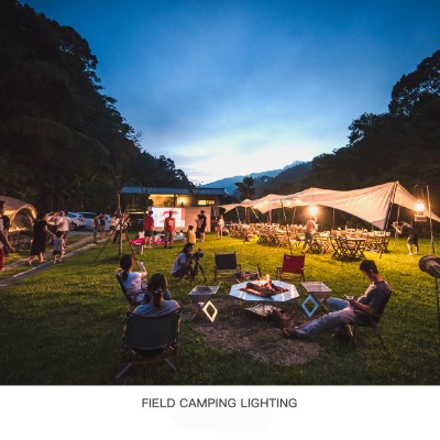 LED Flood Light FL1060picture5