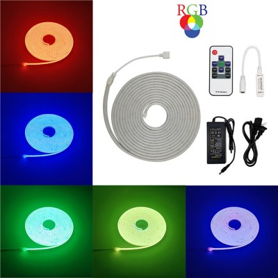 LED Neon Light NEL100picture3