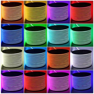 LED Neon Light NEL100picture4