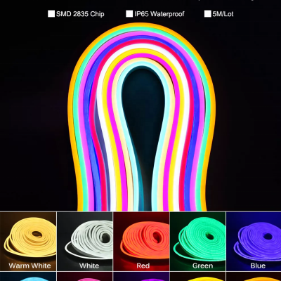 LED Neon Light NEL200picture2