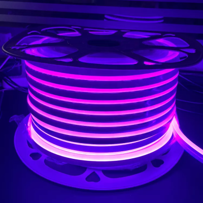LED Neon Light NEL200picture6