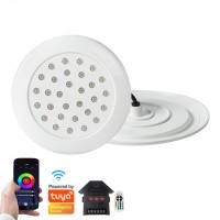 LED Swimming Pool Light UW210