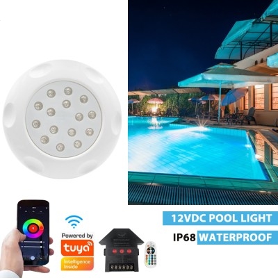 LED Swimming Pool Light UW210picture2