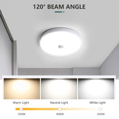 LED Ceiling Light CL410picture2