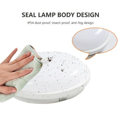 LED Ceiling Light CL410picture3