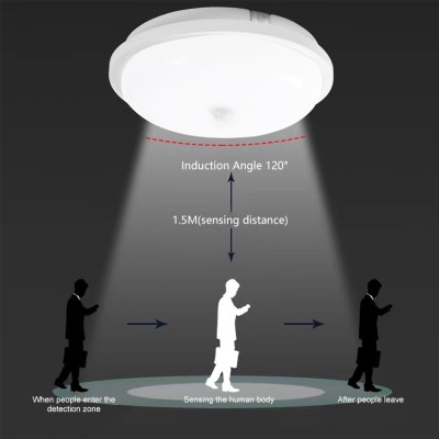LED Ceiling Light CL410picture4