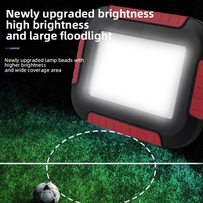 LED Work Light WRL3100picture3