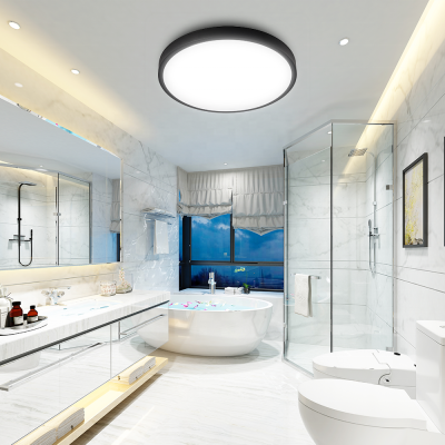 LED Ceiling Light CL390picture2