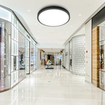 LED Ceiling Light CL390picture3