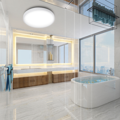 LED Ceiling Light CL390picture5