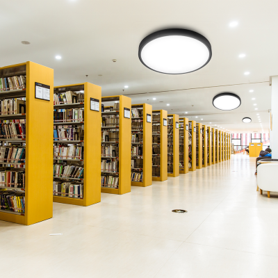 LED Ceiling Light CL390picture6