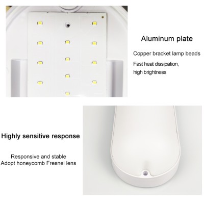 LED Bulkhead Light BHL170picture5