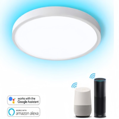 LED Ceiling Light CL420picture2