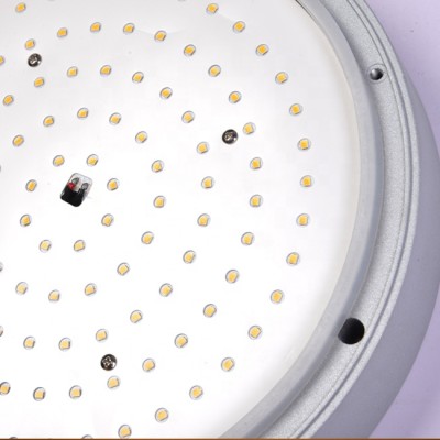 LED Bulkhead Light BHL660picture4