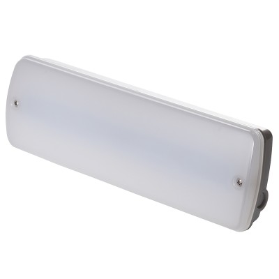 LED Bulkhead Light BHL1220picture5