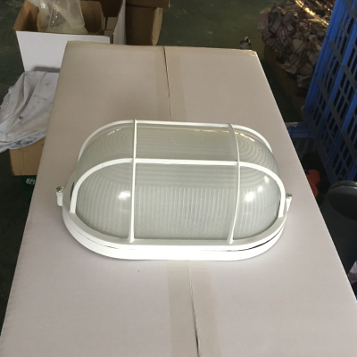 LED Bulkhead Light BHL220picture5