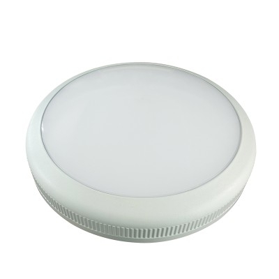 LED Bulkhead Light BHL1240picture2