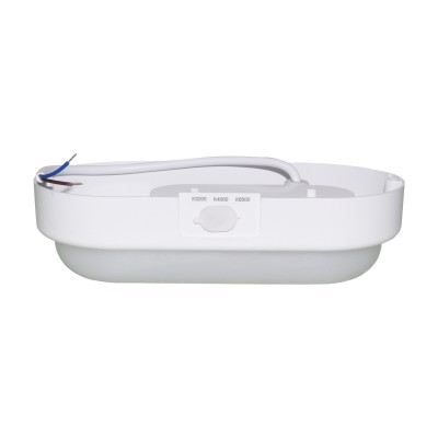 LED Bulkhead Light BHL1270picture3