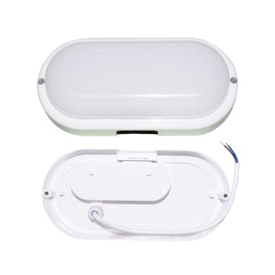 LED Bulkhead Light BHL250picture4