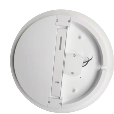 LED Ceiling Light CL250picture2