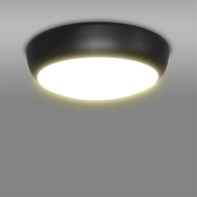 LED Ceiling Light CL200picture2