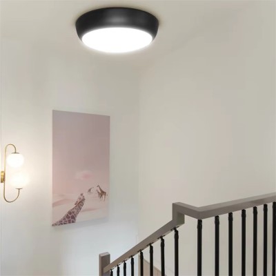 LED Ceiling Light CL200picture3