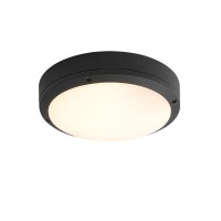 LED Ceiling Light CL210