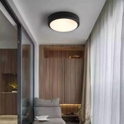 LED Ceiling Light CL210picture2