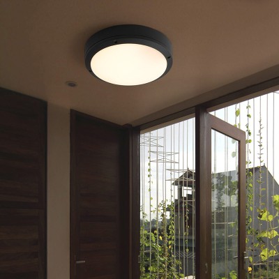 LED Ceiling Light CL210picture4