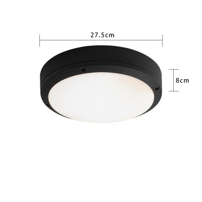 LED Ceiling Light CL210picture6