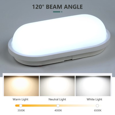 LED Bulkhead Light BHL1020picture2