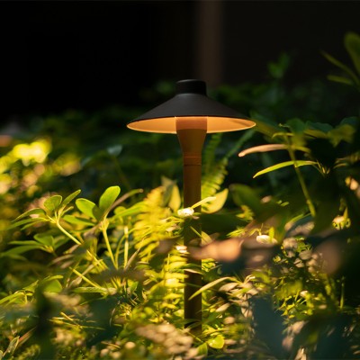 LED Lawn Light BLL150picture4