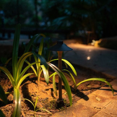 LED Lawn Light BLL150picture5