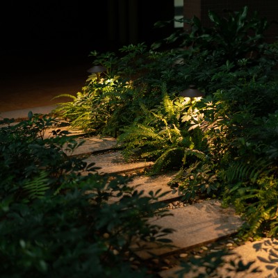 LED Lawn Light BLL150picture6