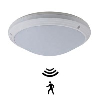 LED Ceiling Light CL370