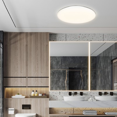 LED Ceiling Light CL380picture3