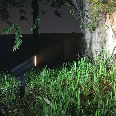 LED Spike Light SPK100picture6