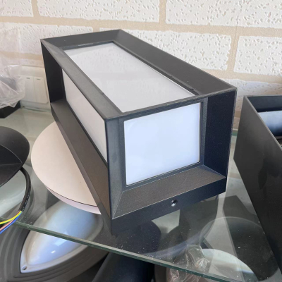 LED Wall Light WL760picture5