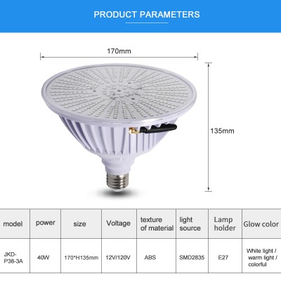 LED Swimming Pool Light UW470picture3