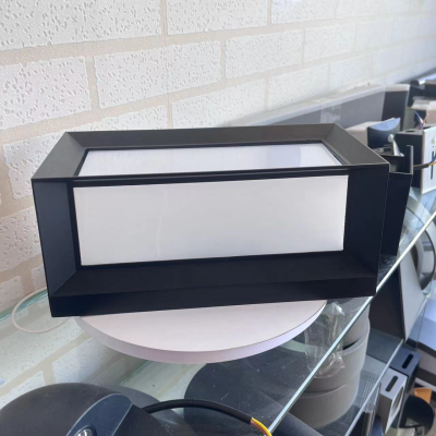 LED Wall Light WL810picture4