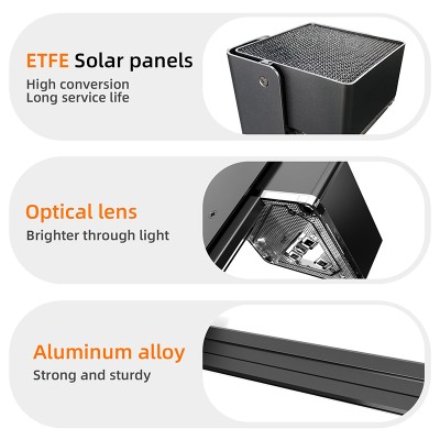 Solar Garden Light SGL250picture5